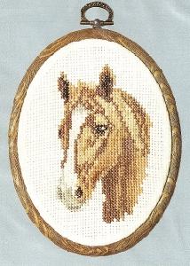 Horse By Helen Burgess 613