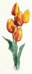 The Silver Lining SL 123 Rembrandt Tulips